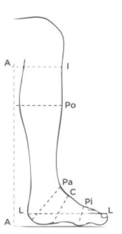 Tall Boots Tiche